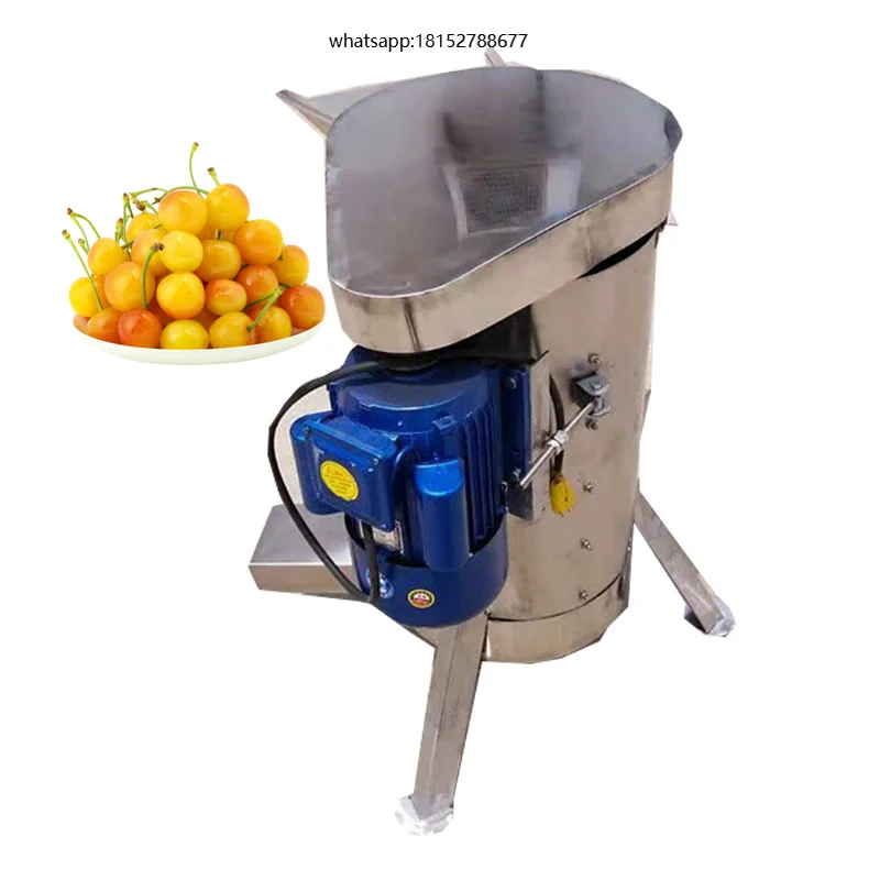 Industrial Peach Commercial Berry Mango Tomato Fruit Juice Extractor Guava Persimmon Pulping Pulper Machine