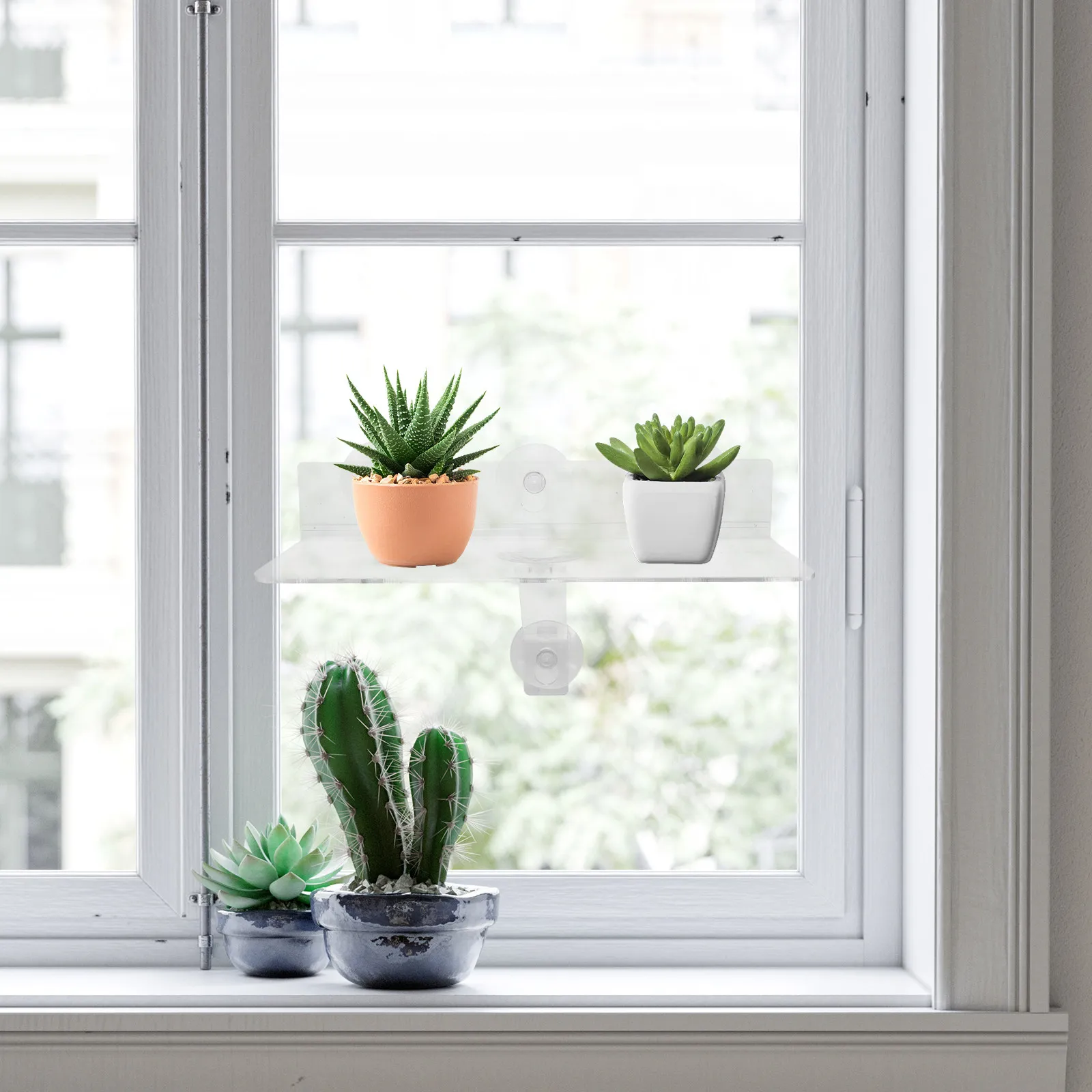 Window Plant Shelf Acrylic Clear Floating Rack Suction Cup Mount Indoor Window Sill Extender Orchid Succulent Flower Pots 12x5x2