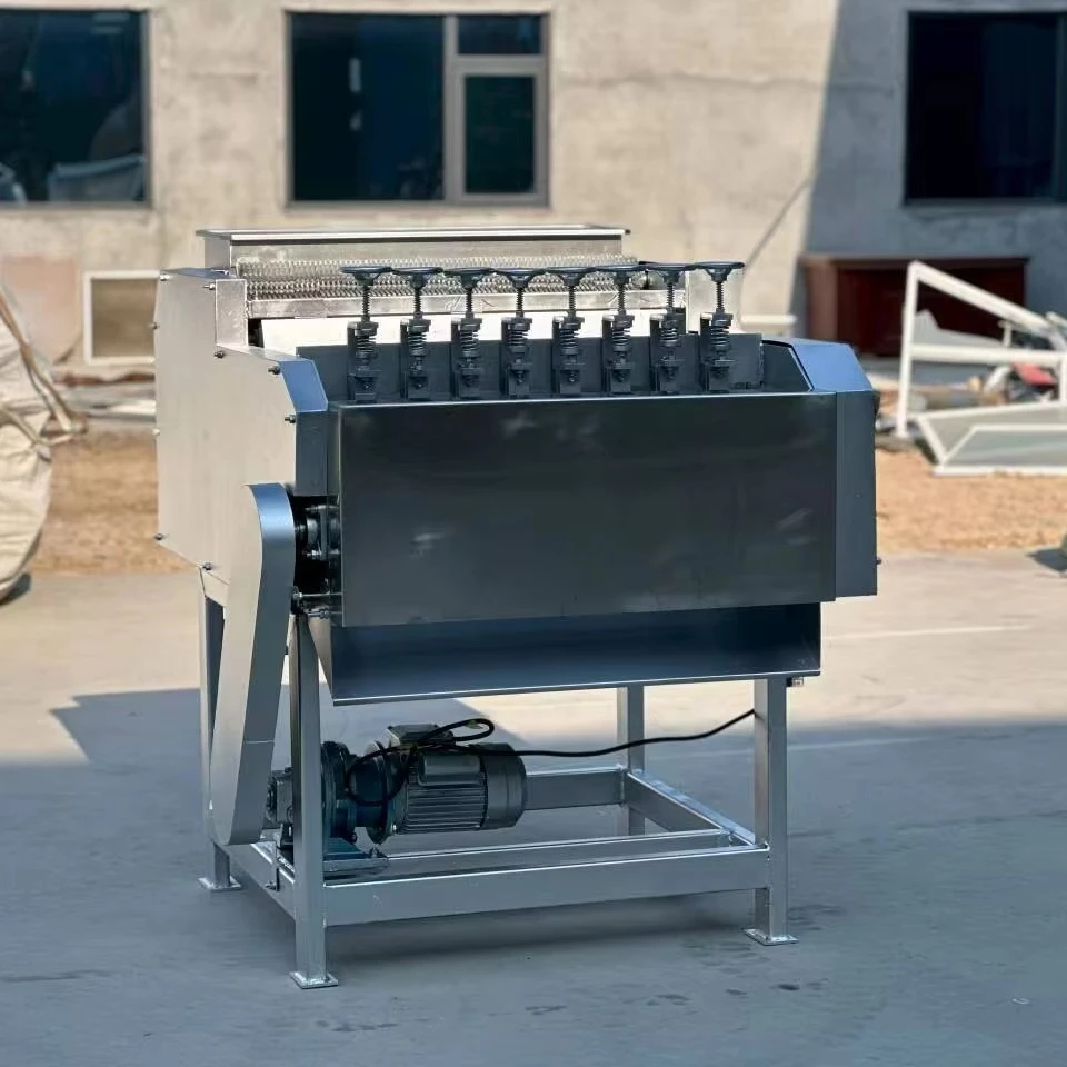 Fully Automatic Cashew Nut Shell Removing And Kernel Separating Machine Best Price Commercial Cashew Nut Shell Machine