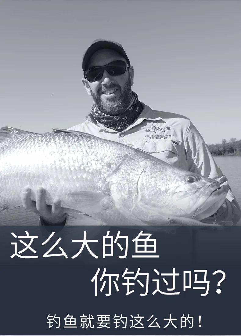 pesci intelligenti con grande schermo a colori