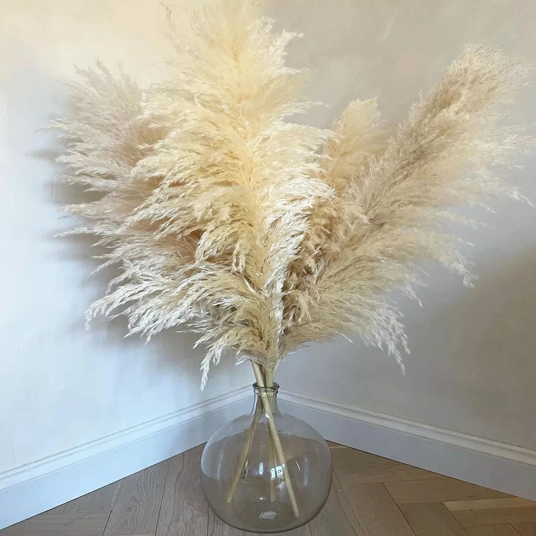 80-130cm Pampas Grass Extra Large Natural White Grey Dried Flower Bouquet Fluffy for Boho Vintage Home Wedding Flower Decoration