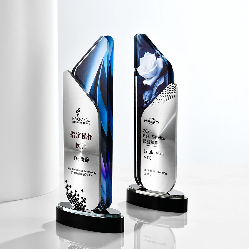 Customized High-end Metal Crystal Trophy, Excellent Staff Company Annual Meeting Awards, Home Decorations Outstanding Medal, 1Pc
