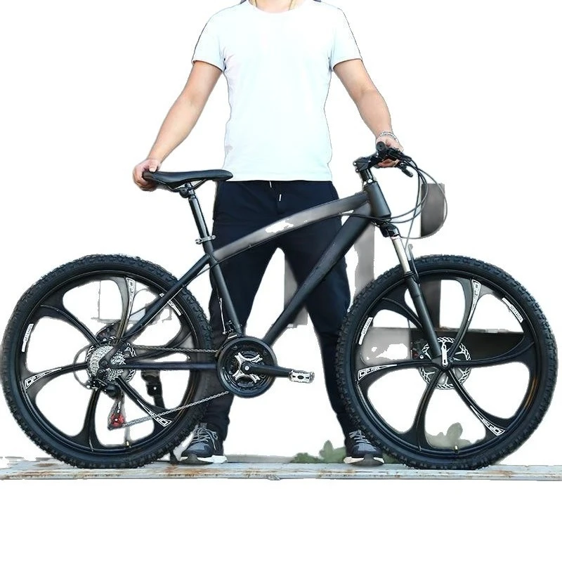 

Mountain Bike, Adult Men's and Women's Road Bike with Variable Gears, Dual Disc Brakes, Shock-absorbing System, 24 or 26 Inches