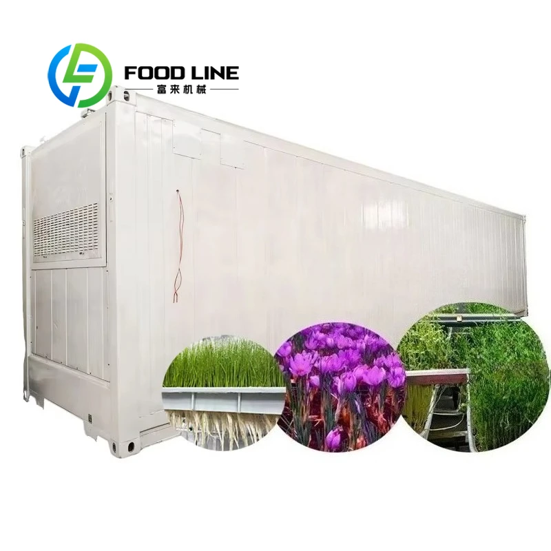 Seeds Growing and Sprouting Container Hydroponic Fodder Growing Systems Vertical Farming Container Plant Factory Green House