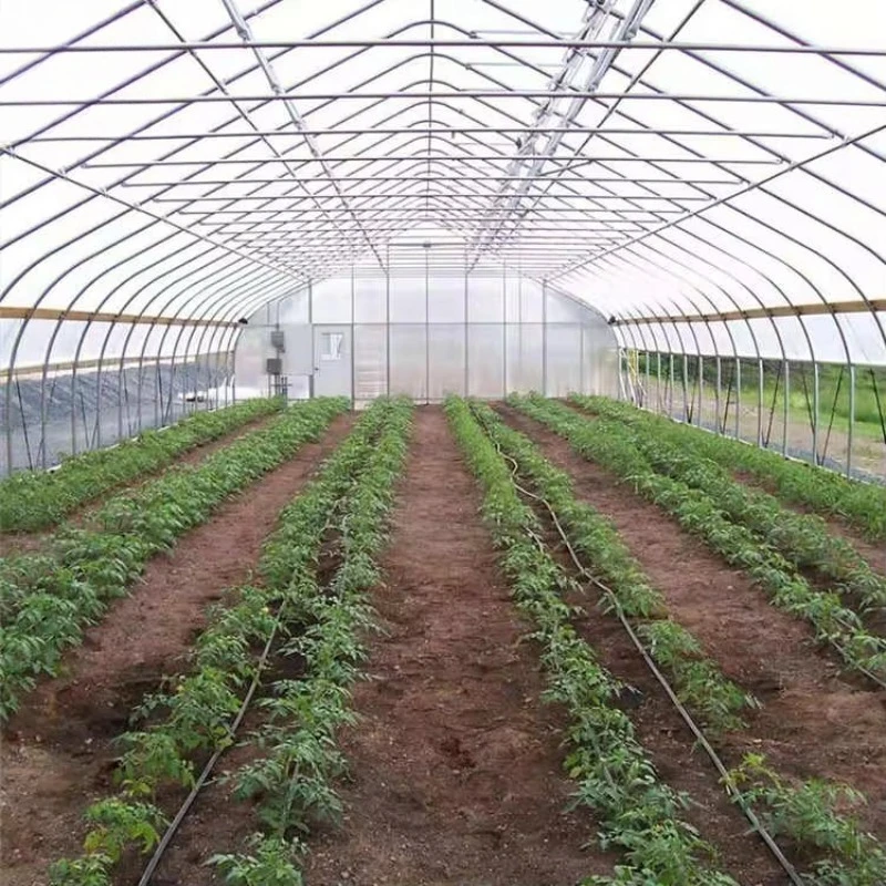 เรือนกระจกใหม่เอี่ยมคุณภาพสูง