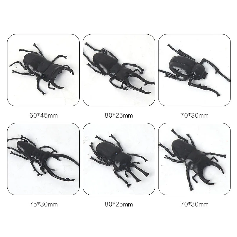 어린이 시뮬레이션 곤충 플라스틱 장난감 모델, 할로윈 만우절 스푸핑 딱정벌레 곤충 장난감, 현실적인 모델, 5 개 신제품