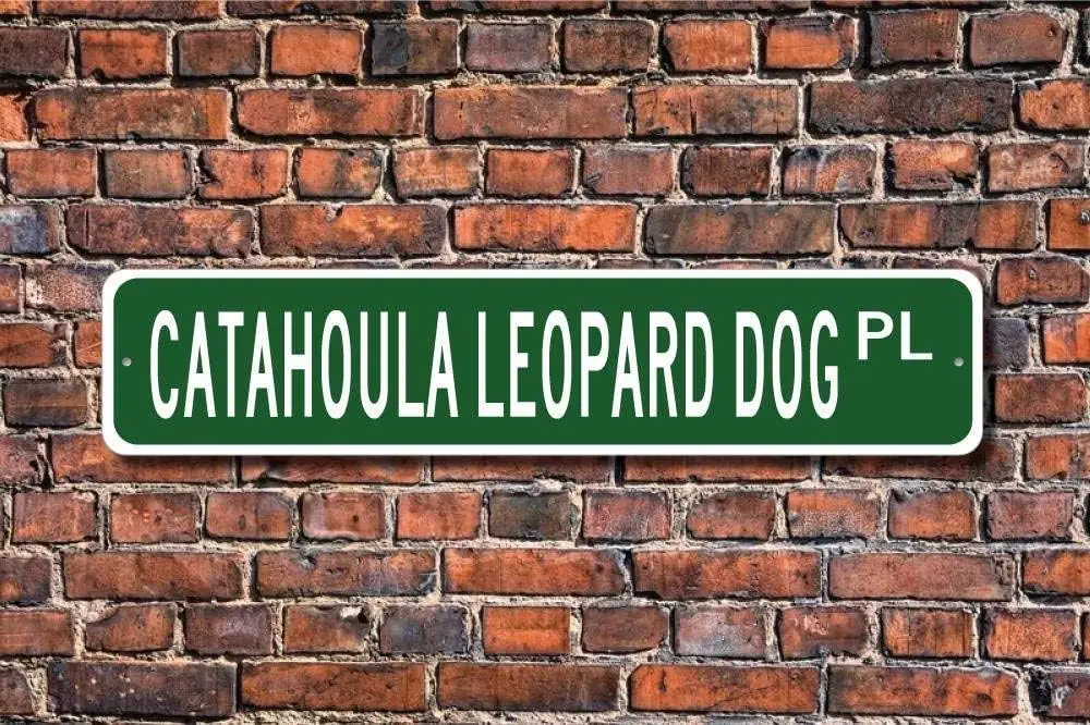 

Tin Signs Home Decoration Catahoula Leopard Sign Dog Owner Gift Street Sign Art Wall Decor Metal Sign 4 x 16