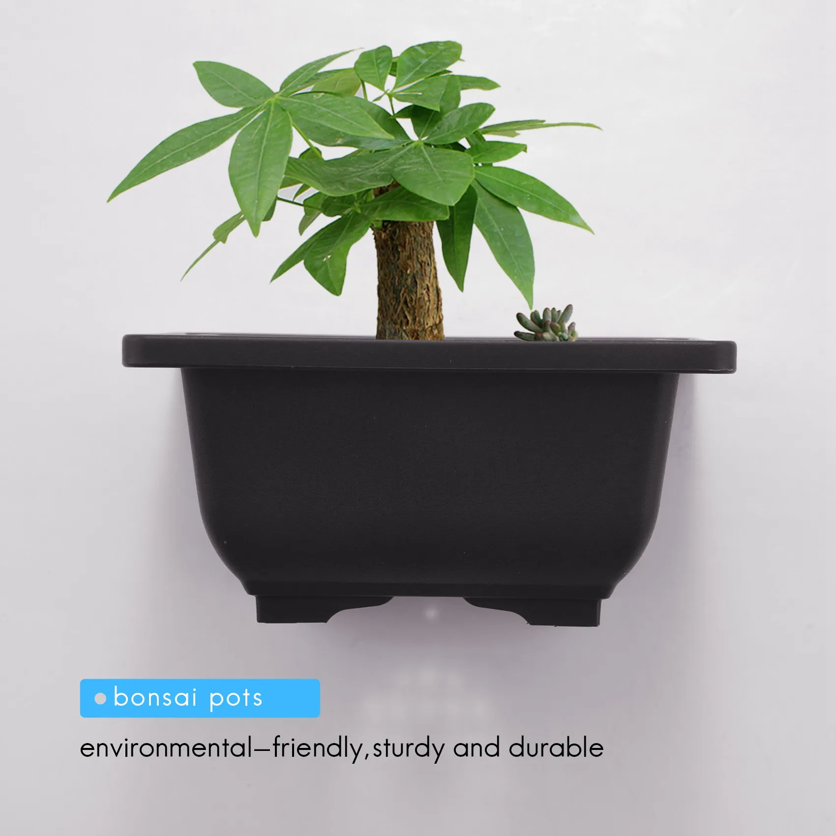 15 PCS 4.7 Inch Flower Pot, Square Plastic Bonsai Training Pot, Flower Succulent Flower Pot Container, for Garden, Interior, Hom