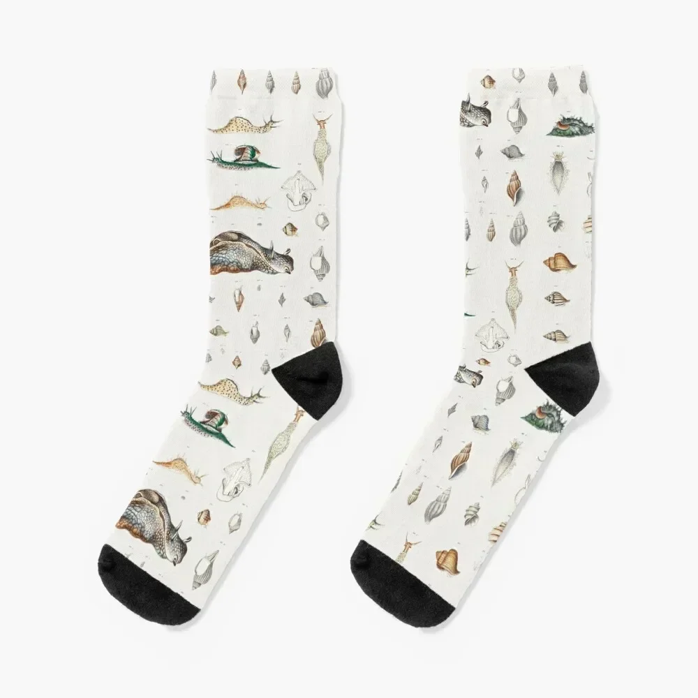 

Naturalist Snails Socks funny gift anime football Designer Man Socks Women's