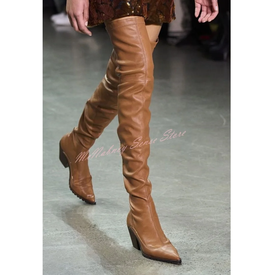 Brown Thin Thigh High Boots Pointy Toe Chunky Heels Solid Back Zipper Fitted Boots Women Sexy Style Shoes Winter Party Casual