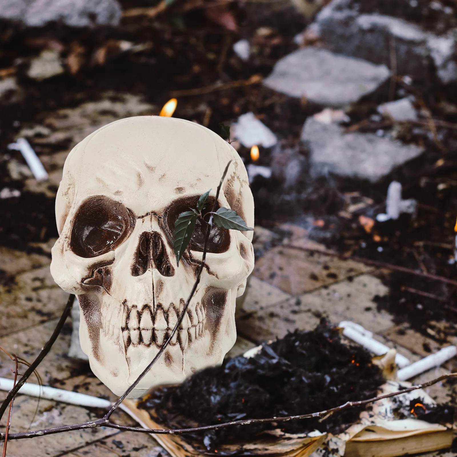 

Halloween Skull nament Realistic Heads for Party Home Decor Plastic Compact Lightweight Storage Photoshoot