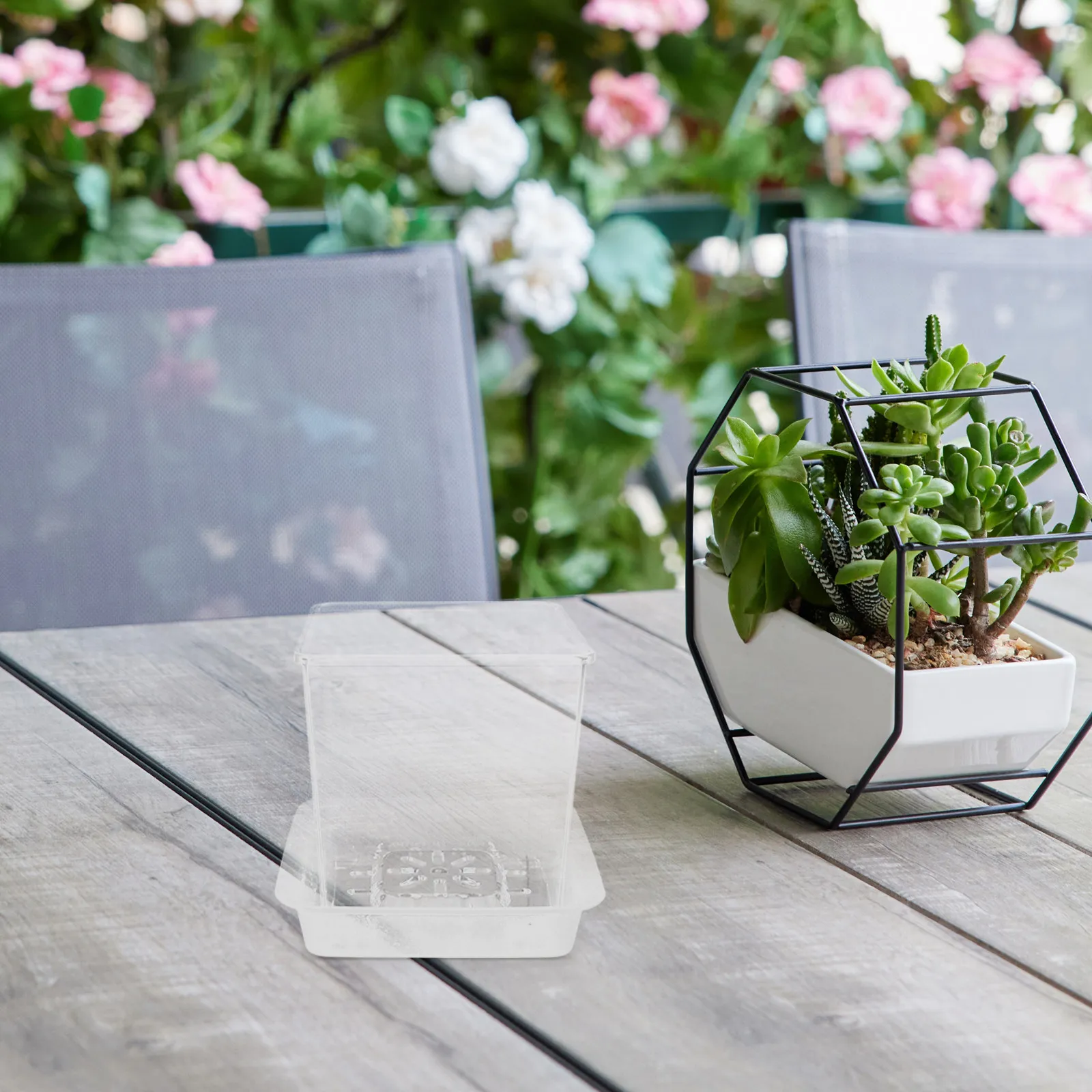1Set Clear Nursery Pot Transparent Plastic Planter Drainage Holes Saucer Included Hydroponic Seedling Pot Garden Plant Container