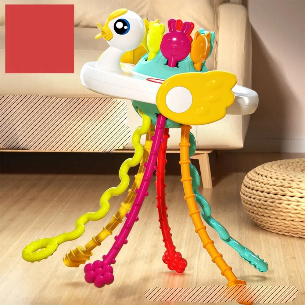 Outils d'entraînement pour bébé bouilliables, jouets éducatifs à ficelle de traction, jouets Montessori pour développer la dentition, jouets sensoriels pour bébé