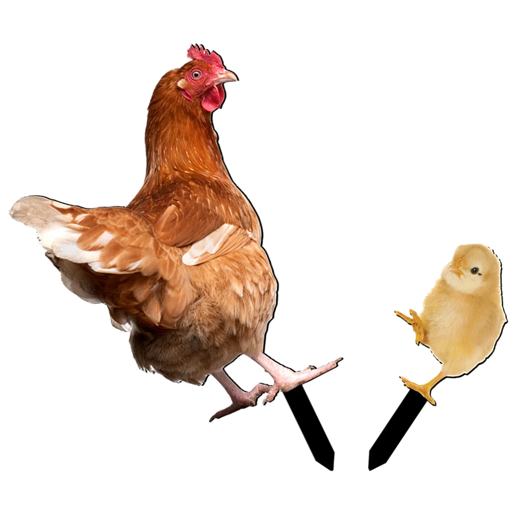 

2 Pcs Chicken Shaped Stakes Adorable Garden Yard Decorations Durable Acrylic Outdoor Lawn naments Easy Insertion Reliable
