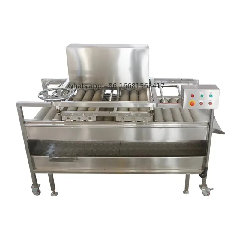 Factory Direct SalesIndustrial Watermelon Washing Machine Sugarcane Fruit Cleaner