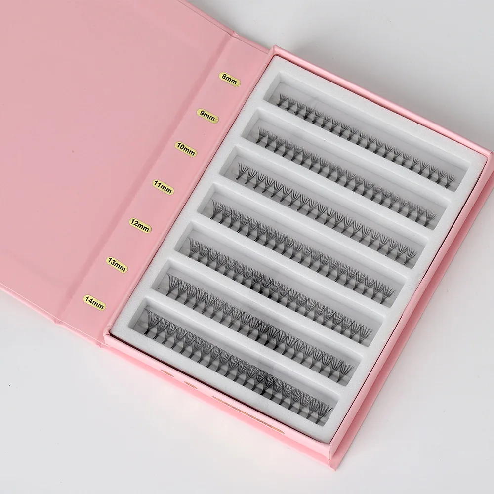 OEM 8D 10D Pointy Base Premade Volume Fans 0.07mm Sharp Root Loose Lashes Mega Russian Volume Large EVA Magnetic Case Divided Tr