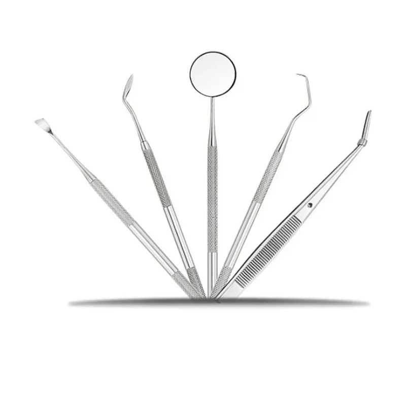 6 Pcs Stainless Steel Dental Tools Kit with Mirror, Tartar Remover Scraper for Teeth, Dentists Mouth Care Tool