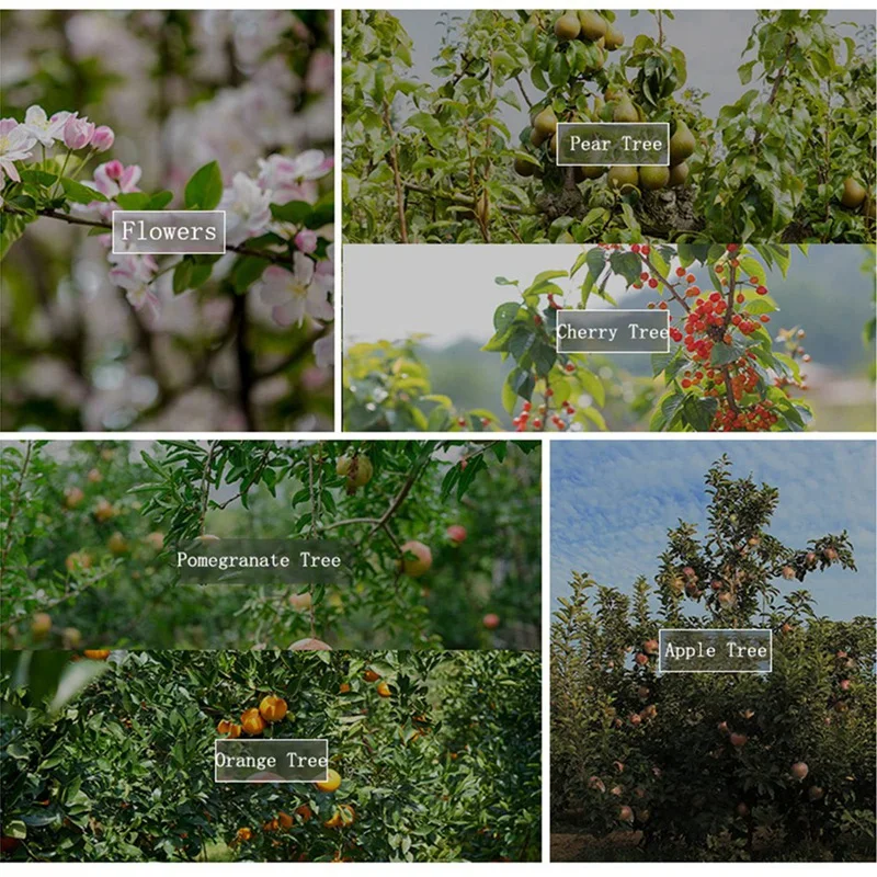 Plant Stem Trained ผลไม้สาขาต้นไม้ PULLER เครื่องผูกเครื่องมือฟาร์มใหม่ Plum Tree เปิดมุมดึง