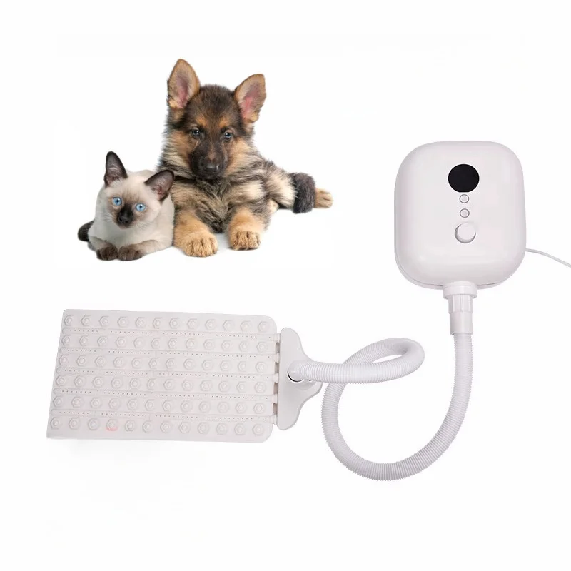 With Bathtub for Pet Grooming Salon New Design Pet Spa Machine Air Bubble Massage Mat Equipped