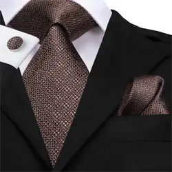 SN-3189 Hi-Tie Men Tie Necktie Brown Ties for Men High Quality Men's Wedding Party Business Classic Hanky Cufflinks Set