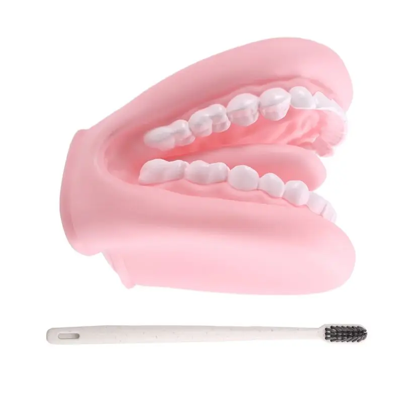 

A63T-ротовая кукла с языком, зубами, модель рта с зубной щеткой для мальчиков и девочек, образовательный инструмент, рот, ручная кукла