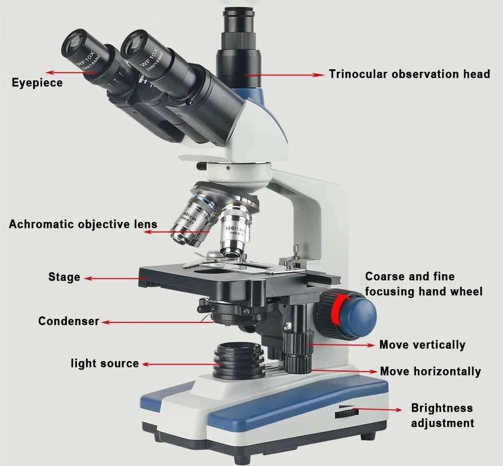 WEIAI 40-2500X Research-Grade Trinocular Microscope Compound medical USB LED Digital Camera Microscope Trinocular for laboratory