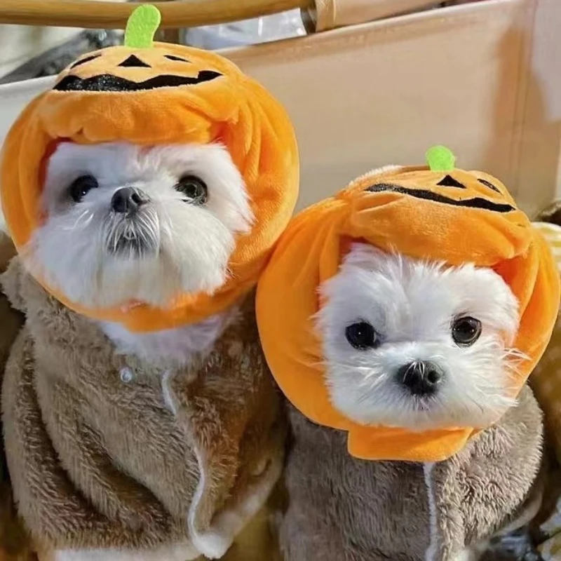 

Adjustable Pumpkin Pet Hat Halloween Headpiece For Cats Teddy Poodles French Bulldogs Soft Costume Cap For All Size Pets