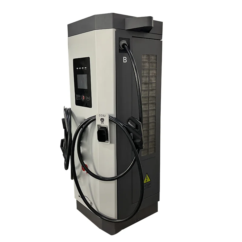 Dual Plug 60kw/120kw OCPP EV DC Fast Charging Station Floor-Mounted Commercial Charging Piles for Electric Vehicles