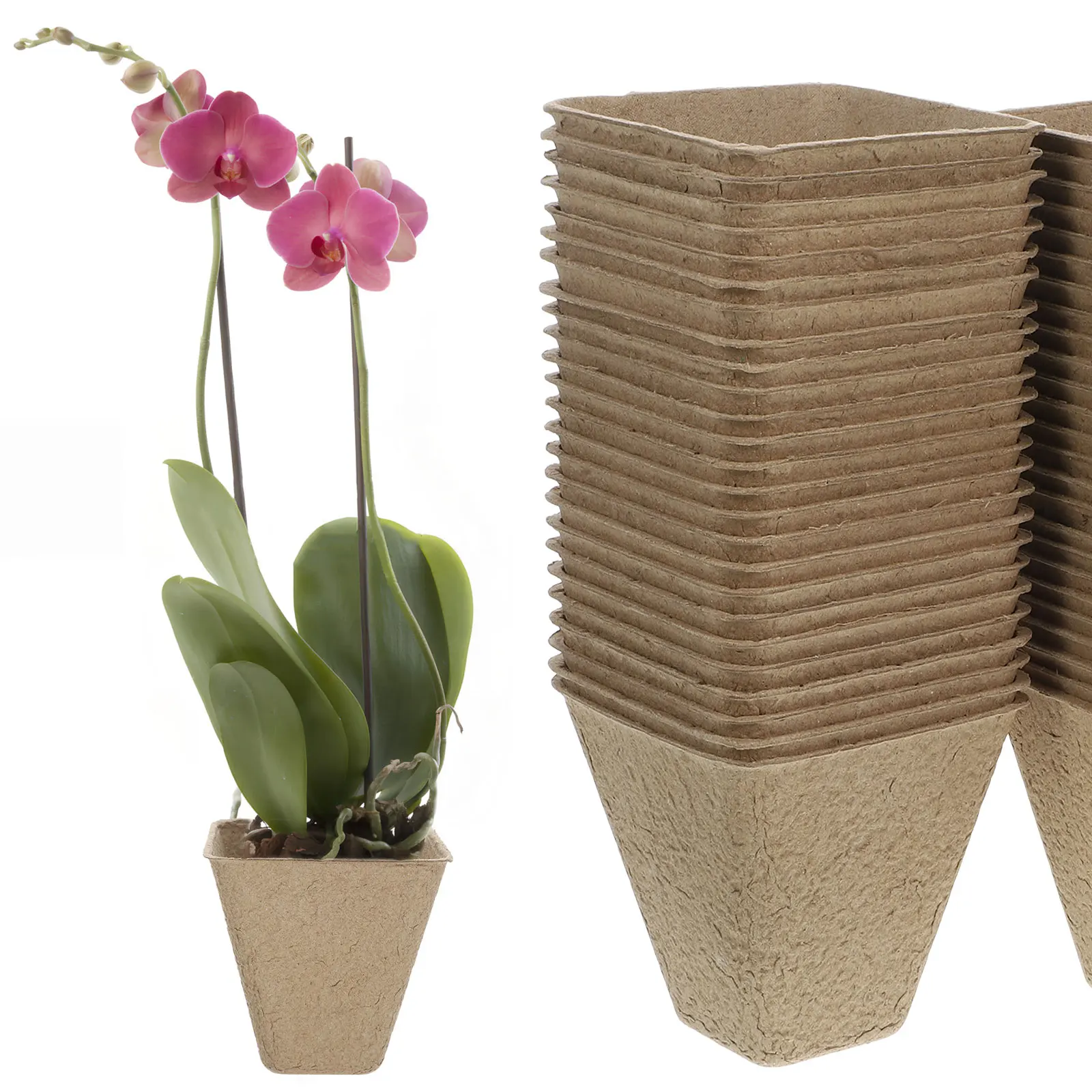 

50pcs Diy Nursery Pots Set With Drainage Holes Mini Plant Growing Cups For Garden Activities School Projects Succulent