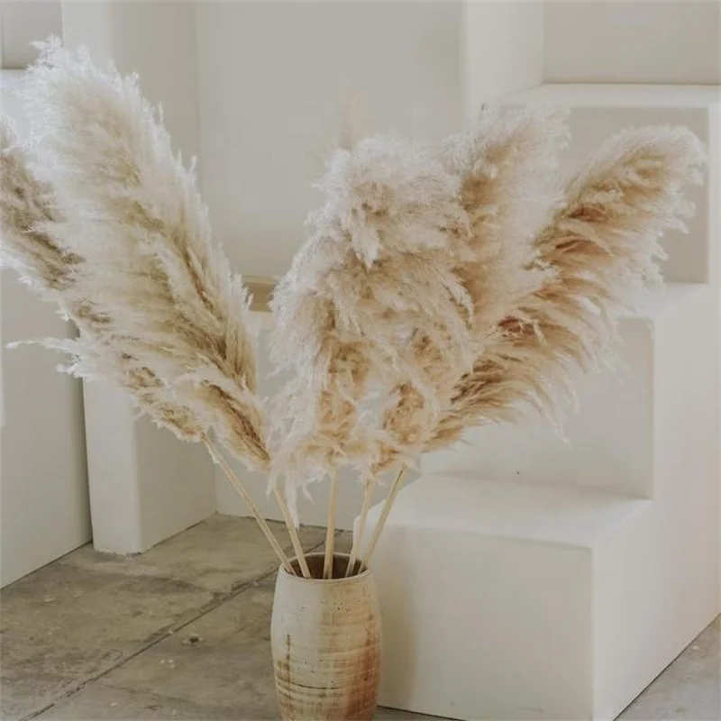 80-120cm Wedding Home Decor Fluffy Pumpus White Pink Beige Big Large Dry Reed Pumpas Tall Long Natural Dried Flower Pampas Grass