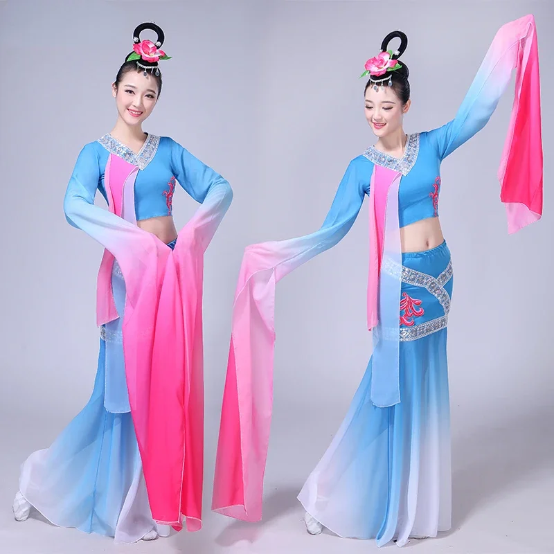 Classical Water Sleeves Ethnic Dance Yangko Clothing Tradition Chinese Folk Dance Elegant Hanfu Dress Mining Wei Dance Costumes