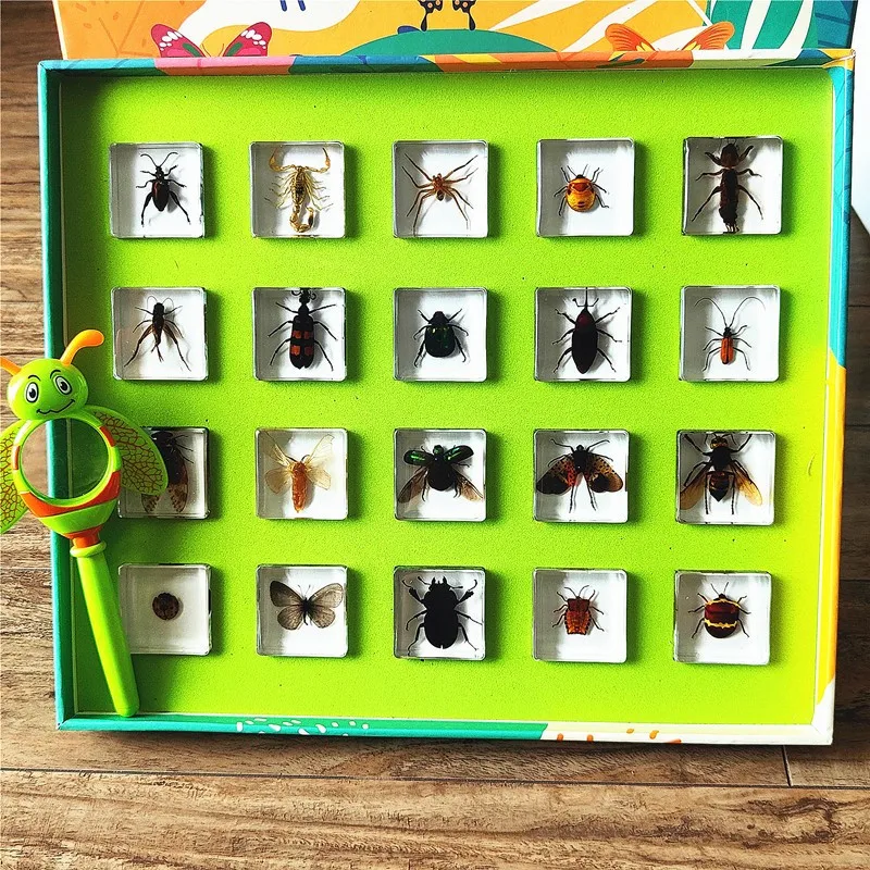 Small animal real insect resin scarab scorpion spider knows beetle specimen marine gift teaching cognition home decor