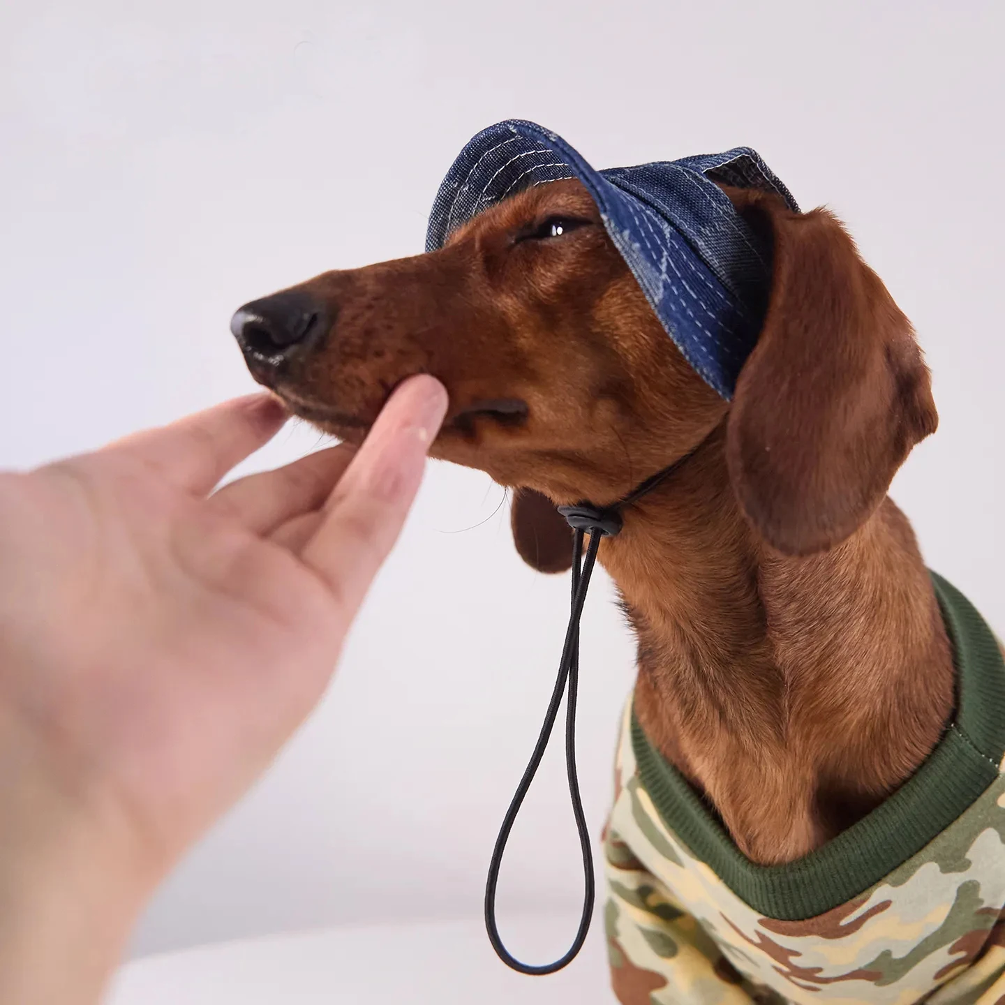 Gorra solar transpirable para perros pequeños y medianos - imagen 5
