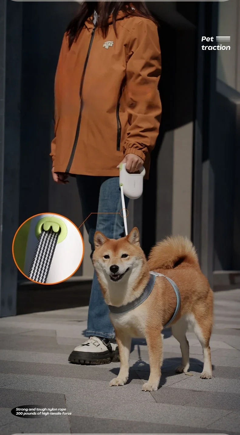 5M Retractable Dog Walking Leash - Automatic Reflective Traction Rope, Flexible Pet Belt for Small, Medium and Large Breed Dogs