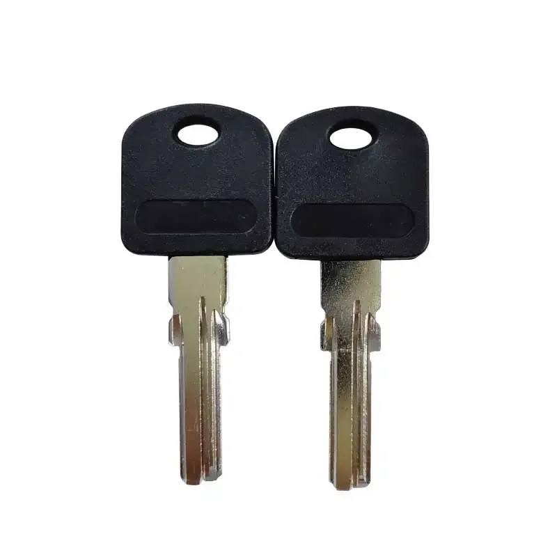 5/10/50/100 Pcs Hi-Rel PAL Wire Lock Key Blank Door Lock House keys Copper Glue Black