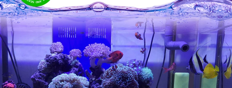 WAJABABY White Aquarium Sand - Bright Quartz Substrate for a Clean & Vibrant Aquascape, Ideal for Freshwater Fish Tanks