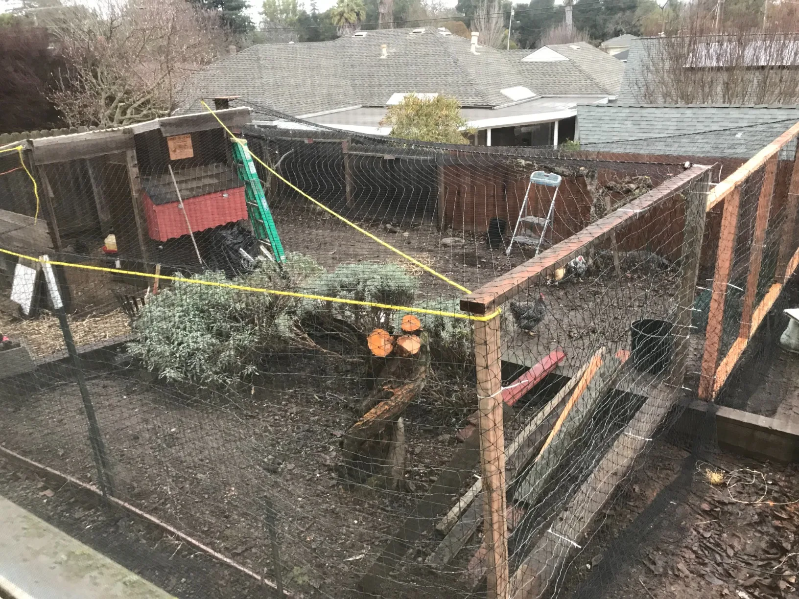 Stahldrahtverstärktes Katzennetz für Balkon, Katzen-Anti-Fall-Netz, Gartennetz, Anti-Vogel-Netz mit Draht für Fenster, Treppenrasen – Detail 11