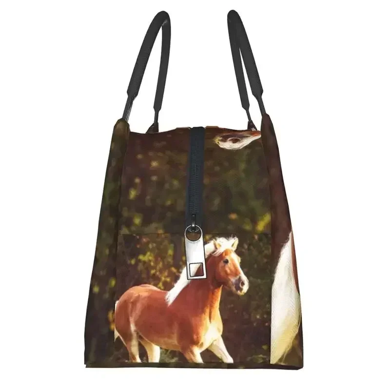حقائب غداء معزولة حراريًا من Haflinger Horse للنساء، حاوية قابلة لإعادة الاستخدام للتخييم والسفر، صندوق طعام متعدد الوظائف للوجبات
