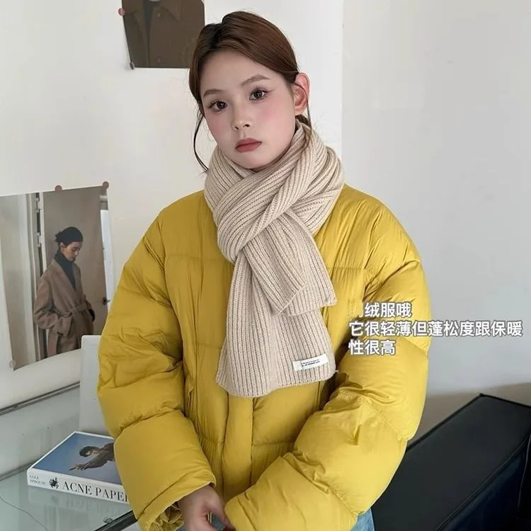 Small Down Jacket for Women in Winter 2025 New Short Style Stand Up Collar Loose and Thick White Duck Down Bread Jacket Trendy