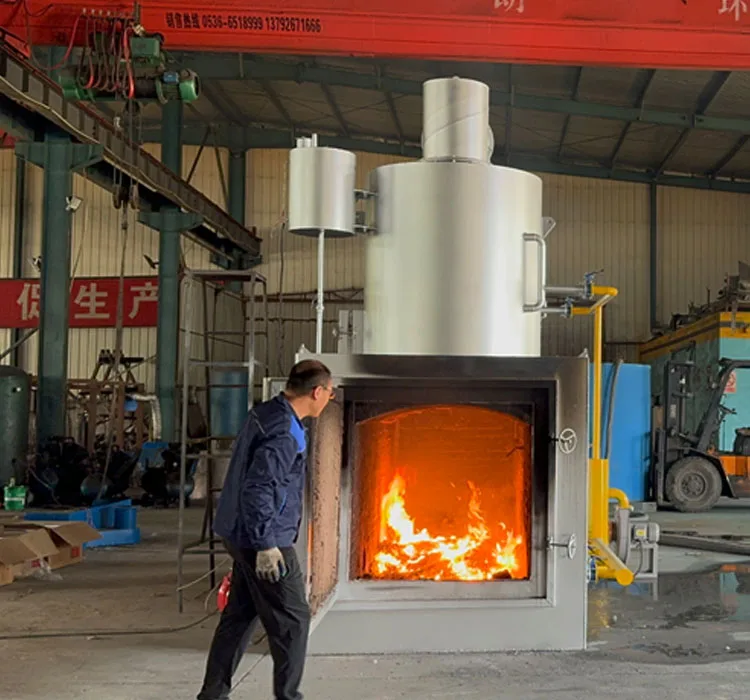 Smokeless Large Solid Incinerators for Hospital, Clinic and Various Medical Waste