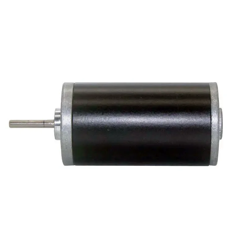 31ZY permanent magnet DC motor micro large torque motor forward and reverse high speed motor 12v24v