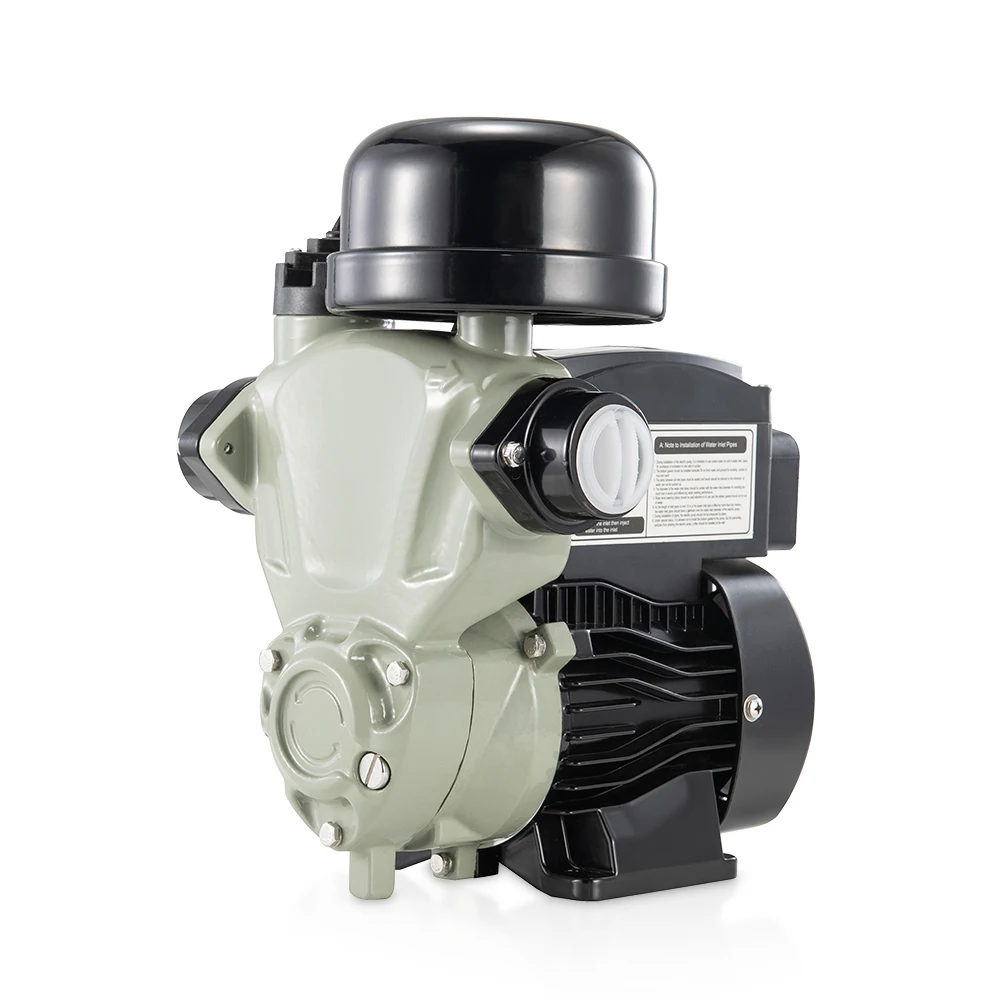 Electric Pressure Boosting Automatic Hot Water Pump