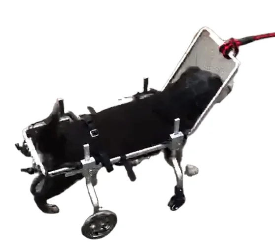 Hedy PW03 Factory D…