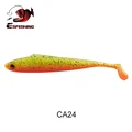 CA24