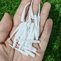 0005 30PCS 08