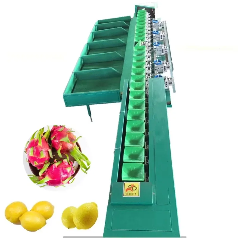 Professional Fruits Weight Sorting Mango Grading Apricot Fruit Sorting Machine Fruit Sorter Avocado Sorting Machine Customized