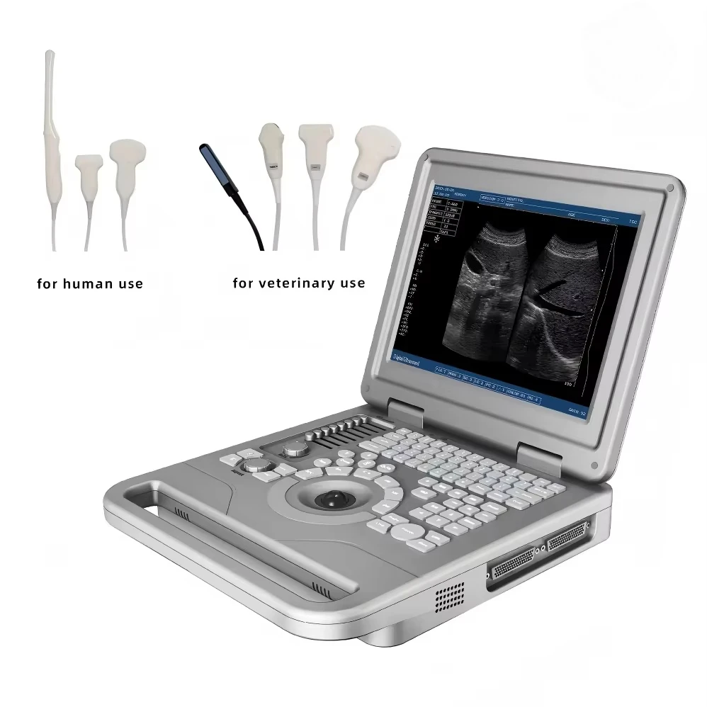 Ultrasound Scanner Portable Ultrasonic Imaging System For  Veterinary Use  Hospital Diagnostic Examination Device