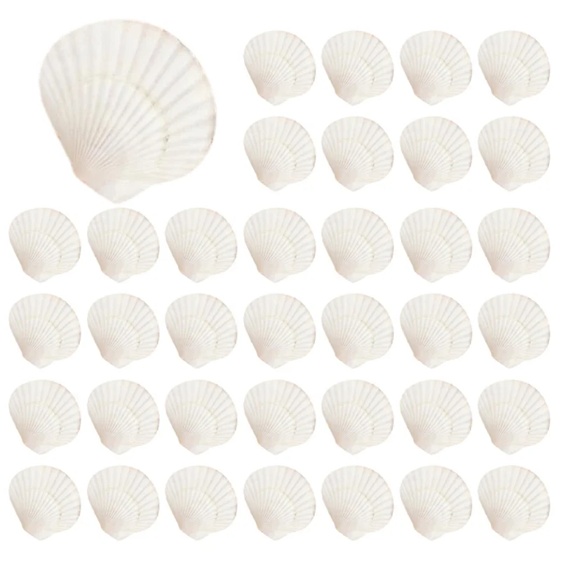 

A88E-80PCS Натуральные ракушки с гребешком 1,4-2,4 дюйма, белые маленькие морские ракушки для поделок, оптовые настоящие ракушки