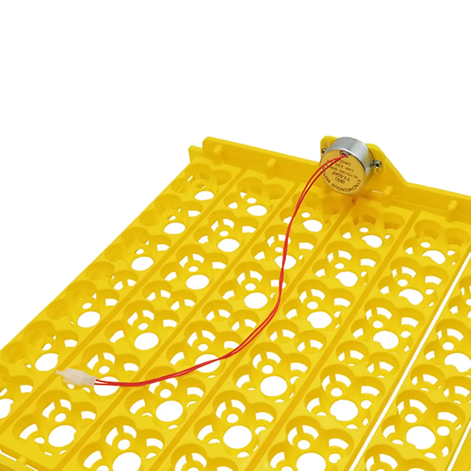 Eggs Incubator Turning Tray with Poultry Hatching Device for 36 Chicken Eggs, or 156 Quail Eggs, US