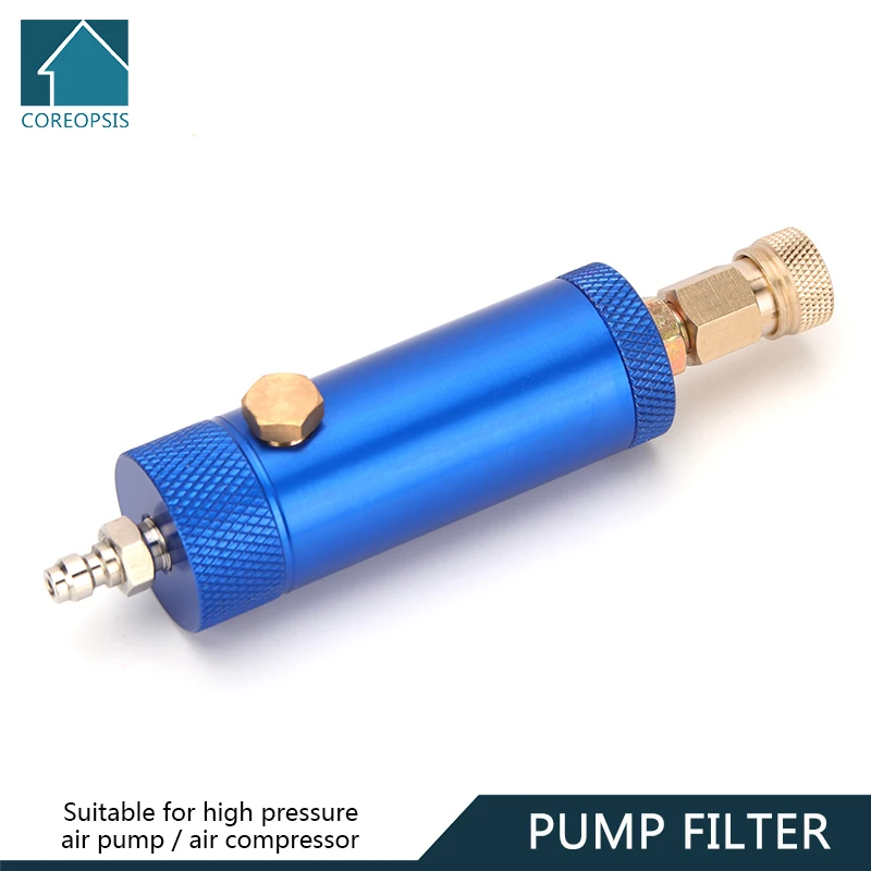 

Pump Filter with SAFETY VALVE M10x1 Thread Quick Disconnect 40Mpa 6000psi Water-Oil Separator Air Filtering PCP Air Pumps Parts